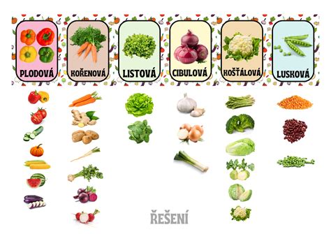 Príklady kreatívneho usporiadania zeleniny v záhone
