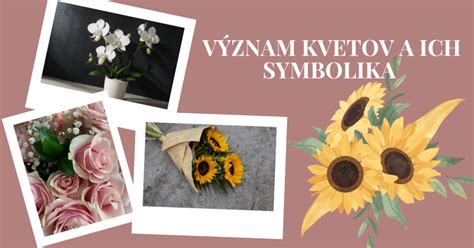 Tabuľka kvetov a ich symbolických významov