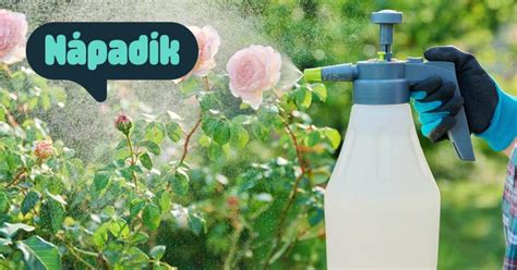 Prírodné zložky na postrek