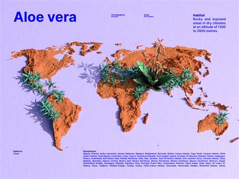 Mapa rozšírenia Aloe vera po svete