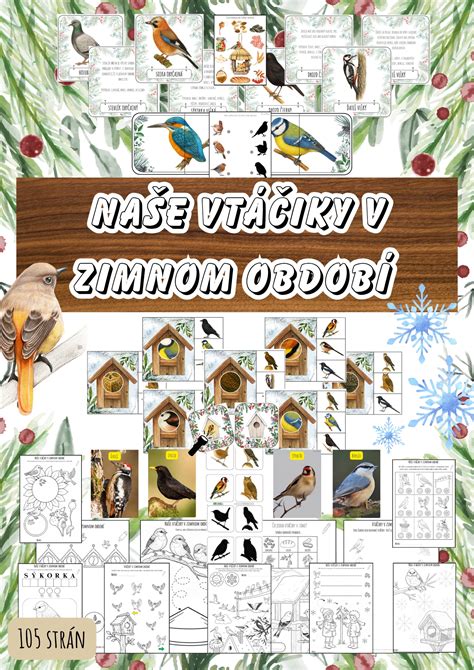 Ilustrácia Sarracenie v zimnom období