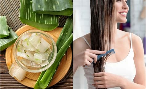 Zdravé vlasy vďaka Aloe Vera