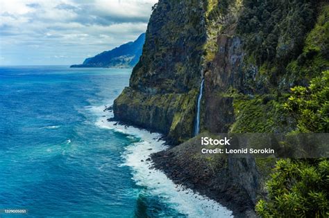 Rozkvitnutá strelícia na výhľade Ponta do Poiso na ostrove Madeira