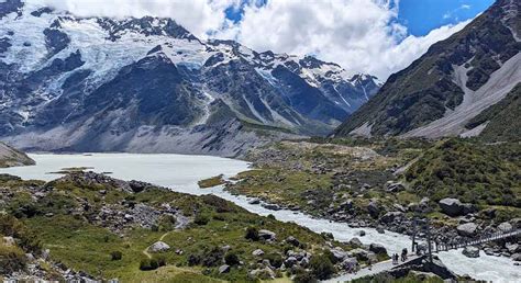 Mount Cook Lily na Novom Zélande