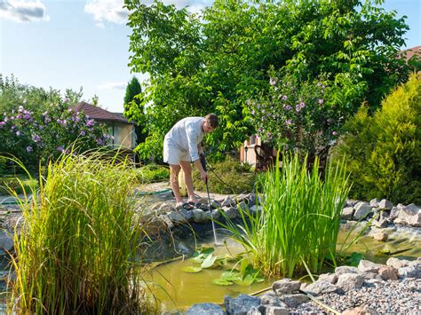 Ukážka permakultúrnej záhrady s jazierkom