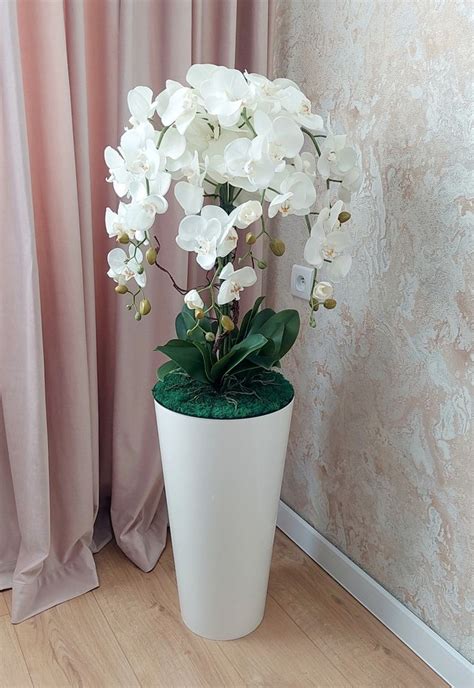 Orchidea vo vázke