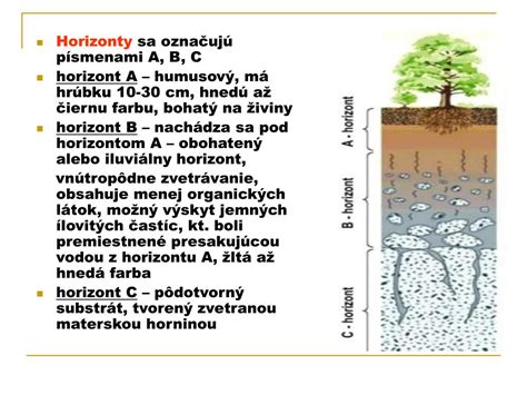 Pôdny profil s horizontami