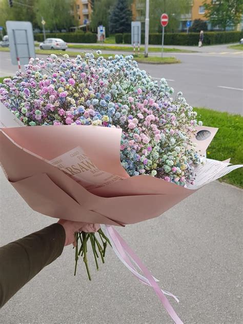 Sušená gypsomilka v kytici