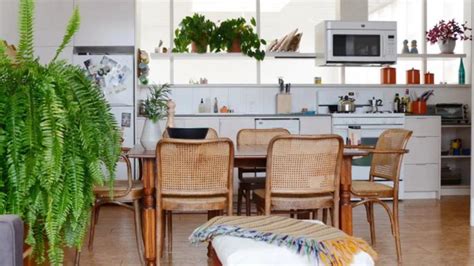 Umiestnenie rastliny Euphorbia v interiéri