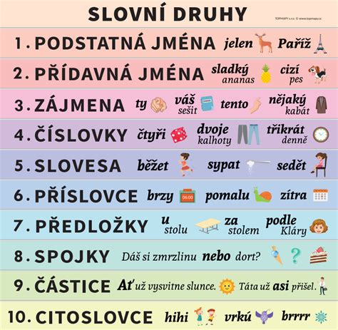Druhy drieňov