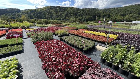 Pohľad na záhradné centrum s rôznymi rastlinami