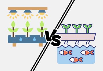 Porovnanie metód pestovania: hydropónia vs. outdoor