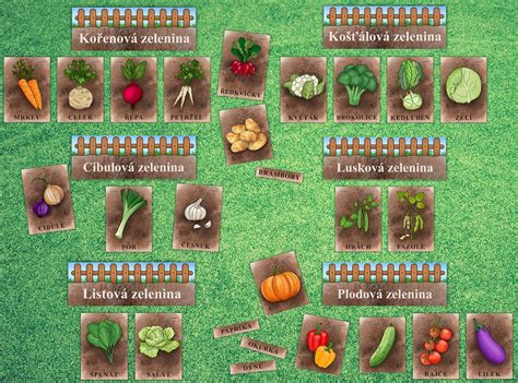Rôzne druhy zeleniny a bylín