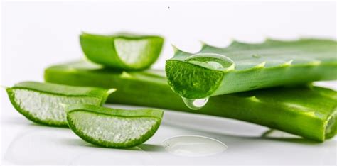 Pokožka s prejavmi ekzému a psoriasis pred a po použití Aloe vera