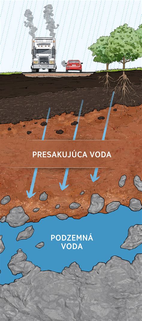 Optimálne podmienky pre rast klinčekov (svetlo, pôda, voda)