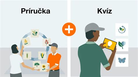 schéma striedania plodín v 4-ročnom cykle