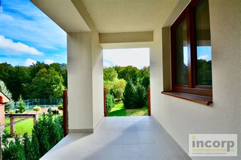 Ilustrácia kvitnúcej konvalinky v lesnom prostredí