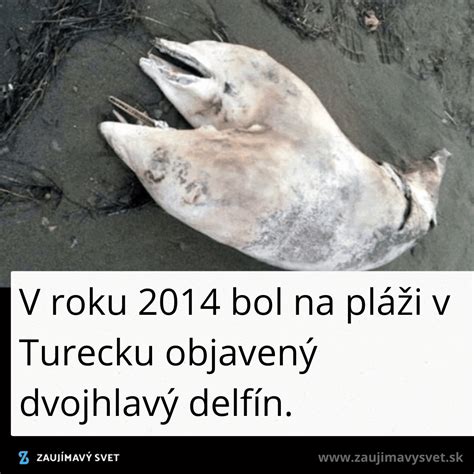 Kopulácia a anglická kopulácia pri vrúbľovaní