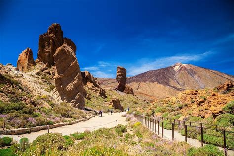 Národný park Teide s rozkvitnutými tajinaste