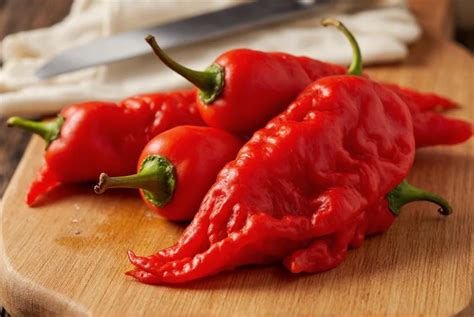 Odrody Bhut Jolokie