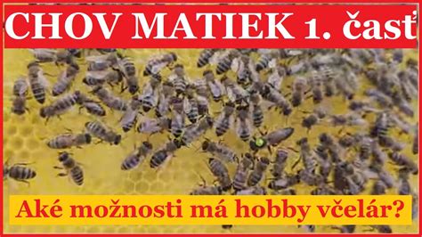 Prelarvovanie lariev pre chov matiek