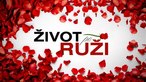 ilustrácia slávika spievajúceho na ruži