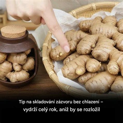 Čerstvý zázvor a rôzne jedlá s ním