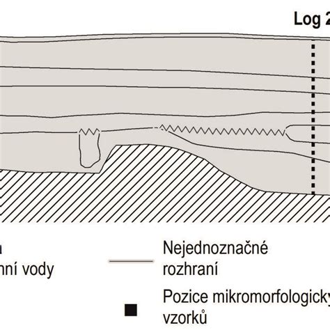 Schematické znázornenie rozdielov v reze hortenzií