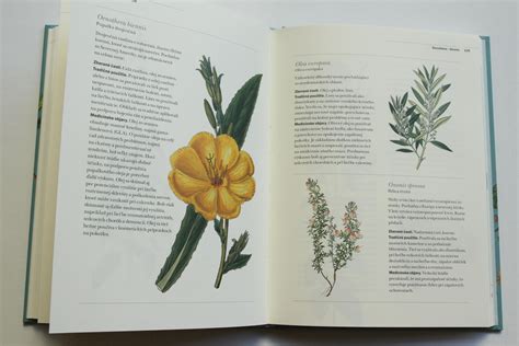 Herbár liečivých rastlín