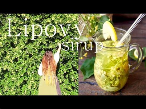 Liečivé účinky lipy