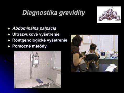 Ultrazvukové vyšetrenie gravidity u dojnice