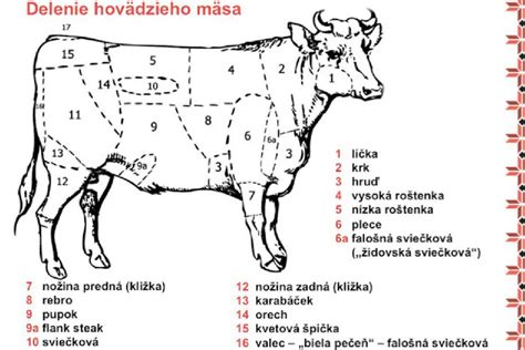 Schéma synchronizácie ruje u hovädzieho dobytka