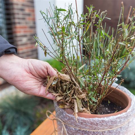 Ukážka použitia kokosovej rohože na obalenie kvetináča