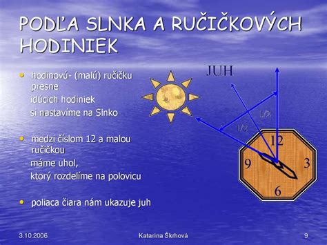 Schematické znázornenie výberu rastlín podľa slnka, polotieňa a tieňa