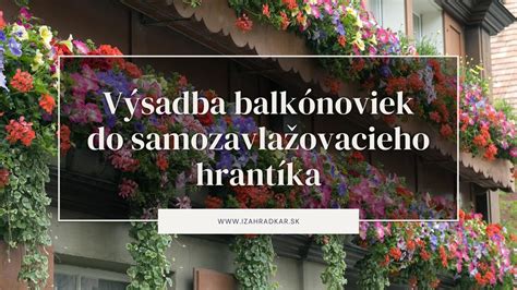 ilustrácia správnej výsadby balkónových rastlín do truhlíka
