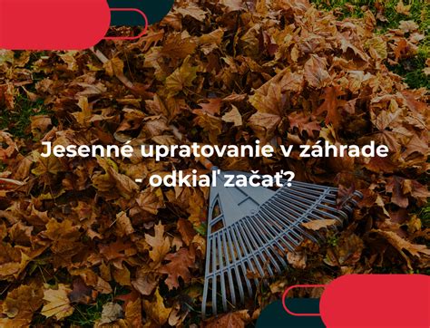 Jesenné veternice v záhrade