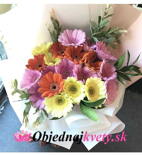 Kytica farebných gerber