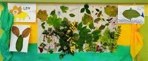 Ukážka kvetináčov z rôznych prírodných materiálov