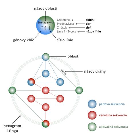 Diagram Kvetu života s popismi jednotlivých častí