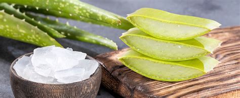 Infografika o benefitoch aloe vera a kyseliny hyalurónovej pre pleť