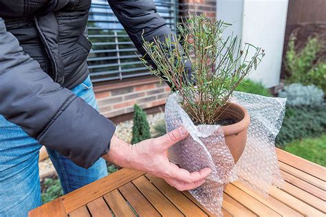 Obalenie črepníka bublinkovou fóliou