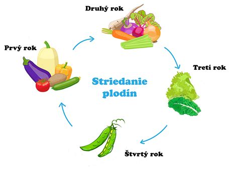 schéma striedania plodín v záhrade