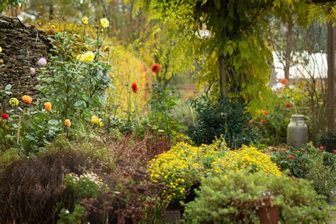 Záhon s rôznymi druhmi floxov