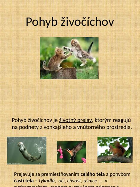 Príklady nepohlavného rozmnožovania živočíchov