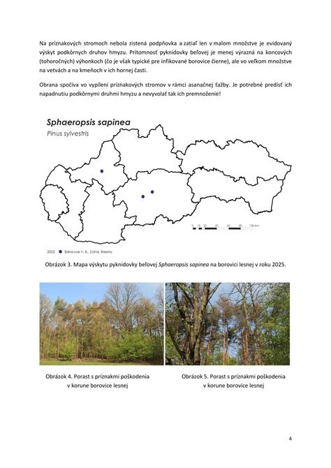 Mapa rozšírenia borovice lesnej