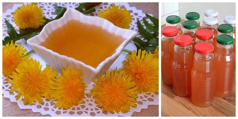 Ilustrácia púpavového sirupu a kávy z púpavových koreňov