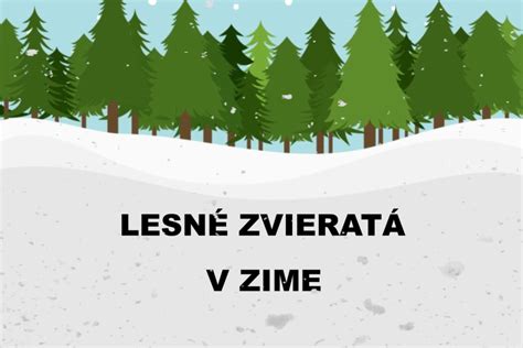 Napájačka pre zvieratá v zime