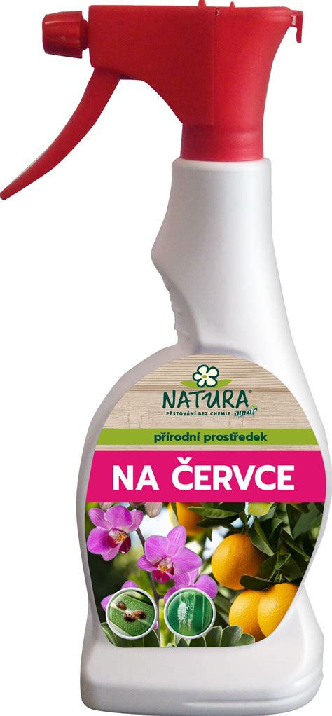 Červce na rastline Kalanchoe