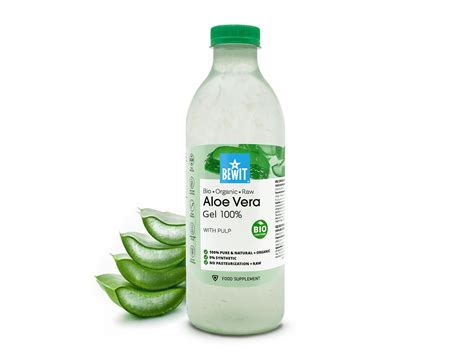Detail listu Aloe Vera s ostňami a gélovou dužinou