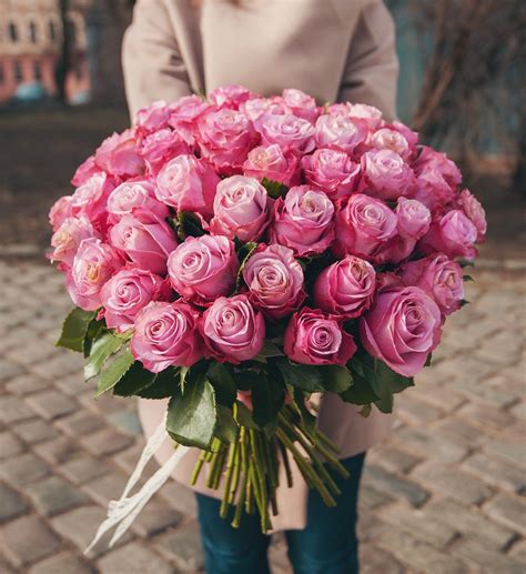 Kytica ružových ruží